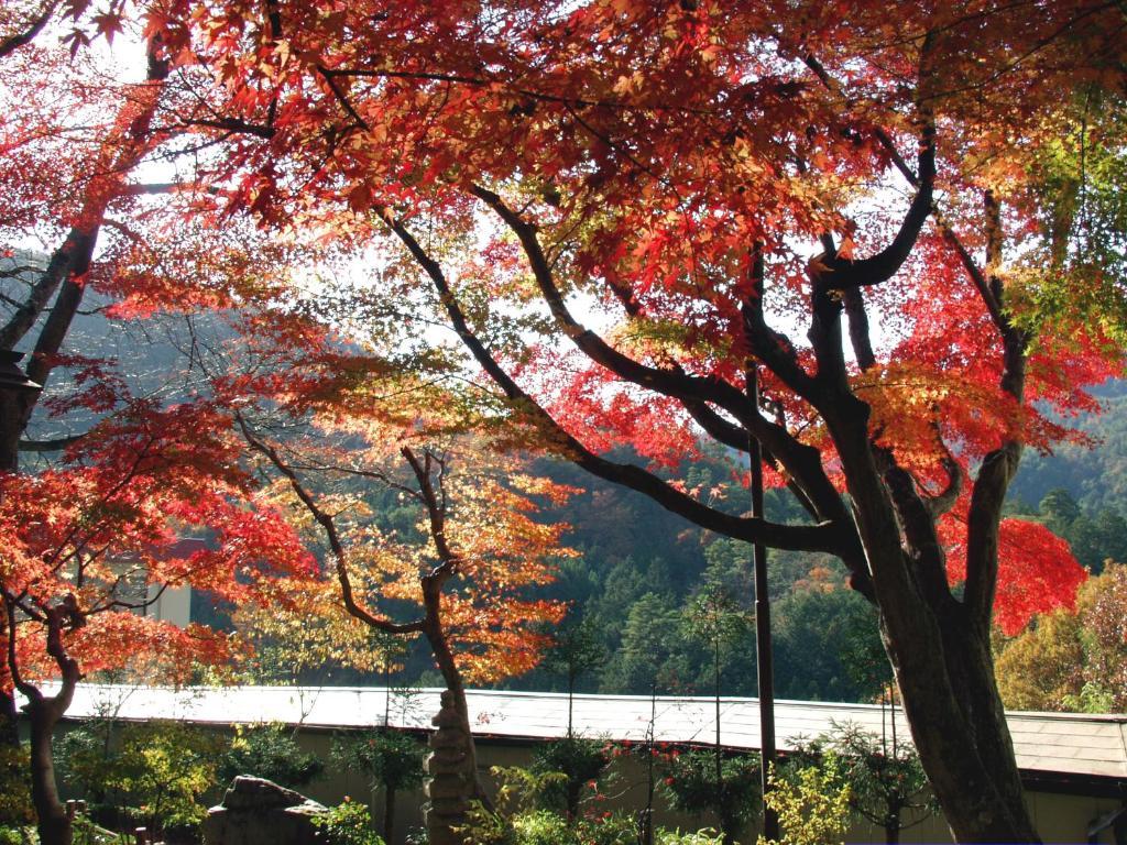 Ryokan Nenrinbo Hotel Kyoto Bagian luar foto